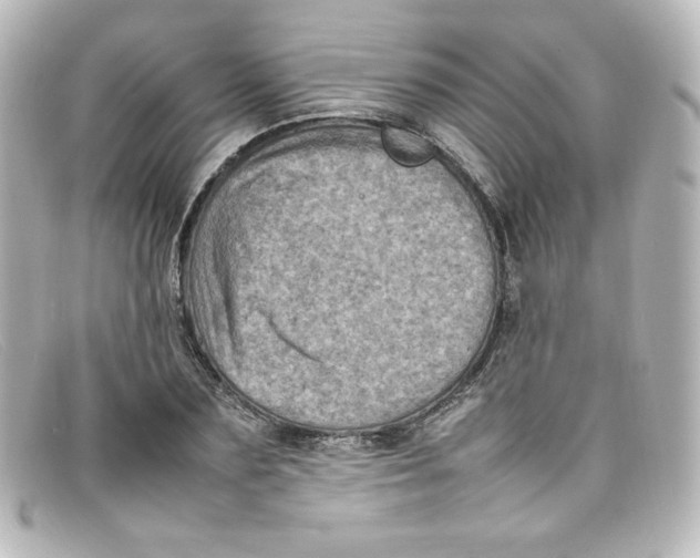 X0000098160883200805081101