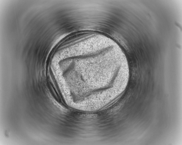 X0000098160884200805081101