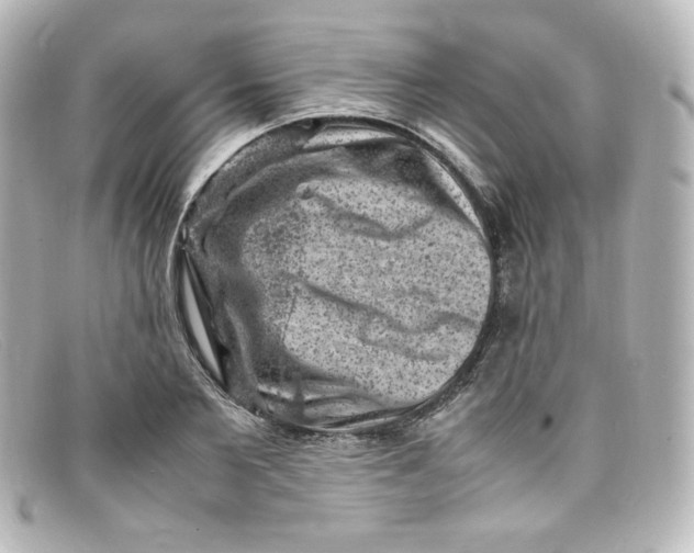 X0000098160885200805081101