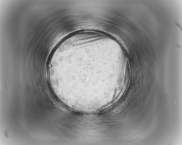 X0000098160887200805081101