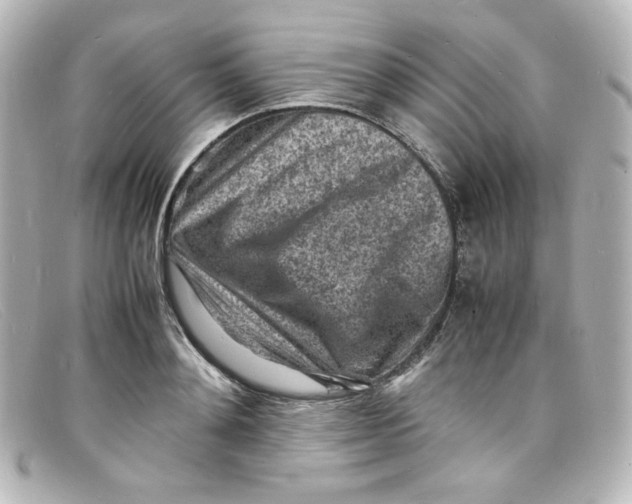 X0000098160892200805081101