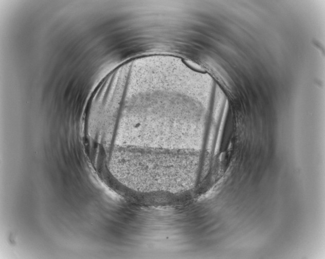 X0000098160900200805081101