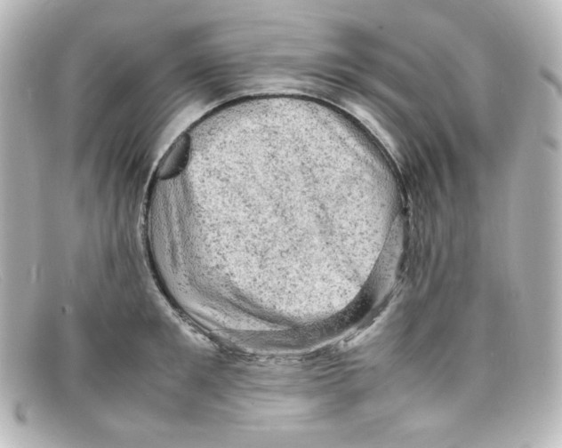 X0000098160901200805081101