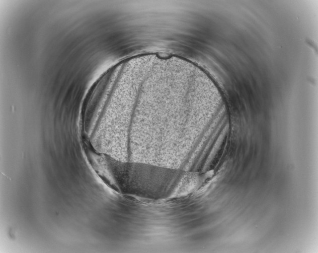 X0000098160902200805081101