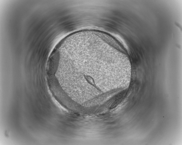 X0000098160903200805081101