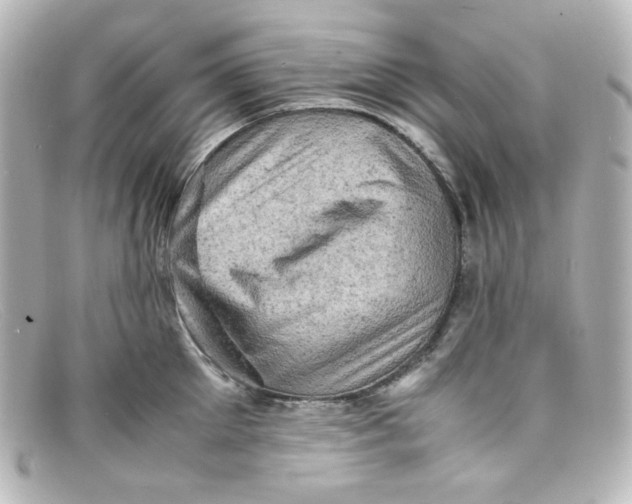 X0000098160905200805081101