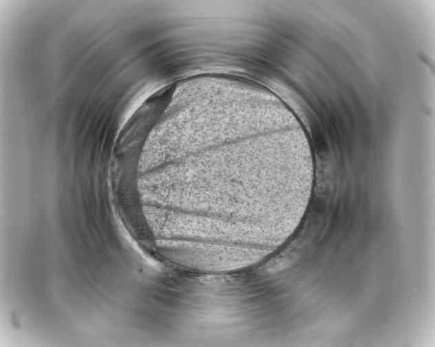 X0000098160906200805081101