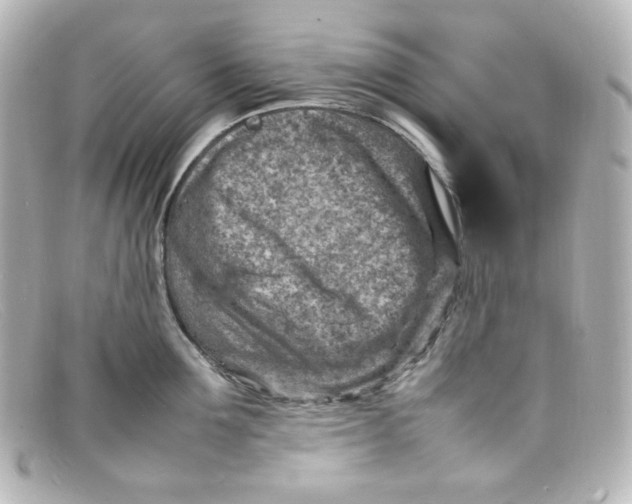 X0000098160907200805081101