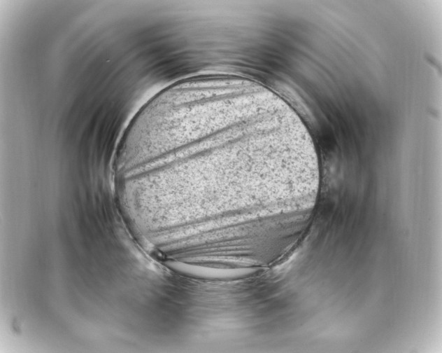 X0000098160908200805081101
