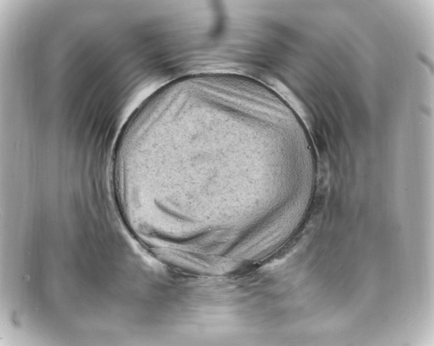 X0000098160909200805081101