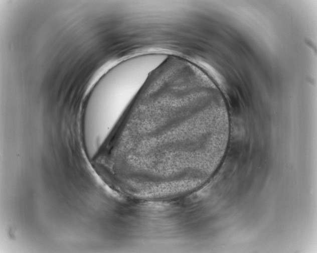 X0000098160910200805081101