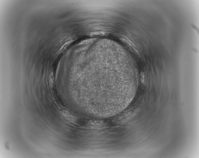 X0000098160915200805081100