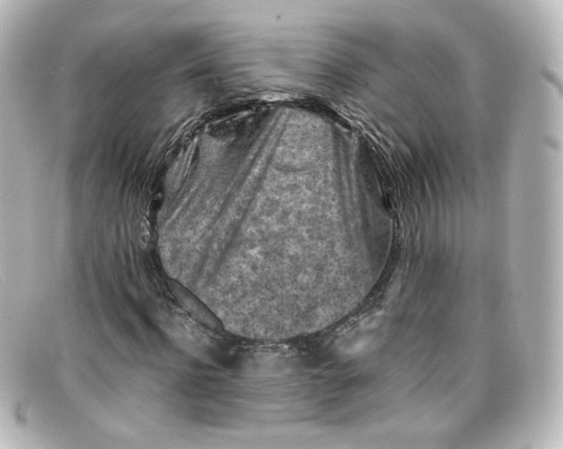 X0000098160916200805081100