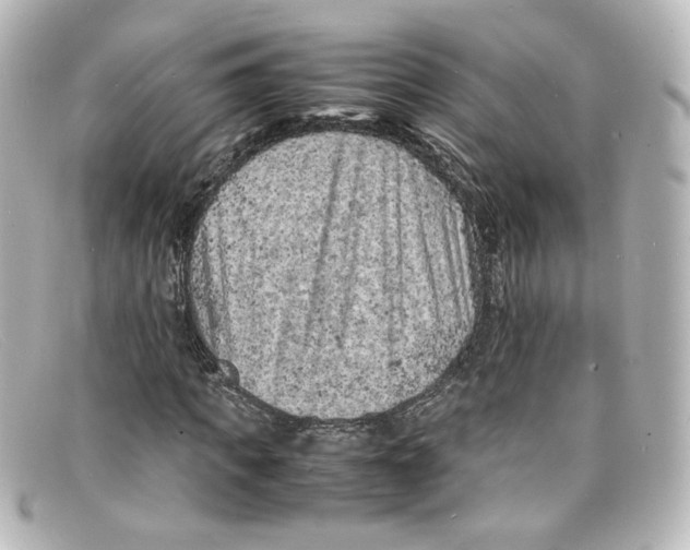 X0000098160917200805081100