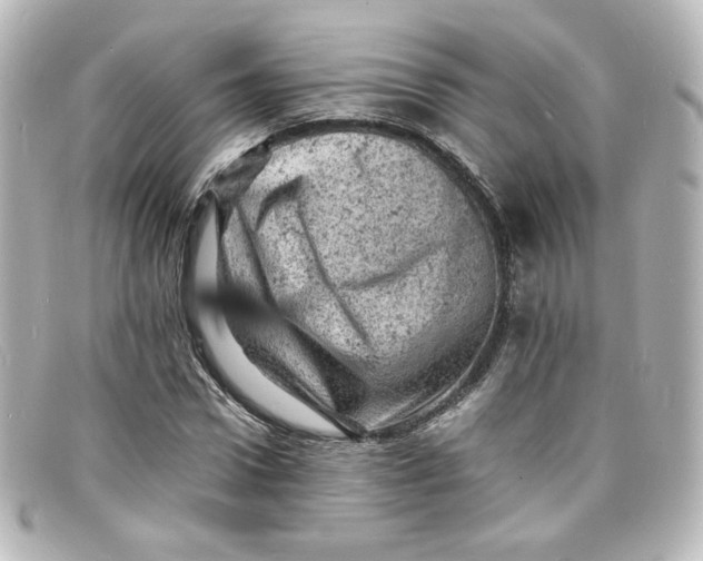 X0000098160922200805081100