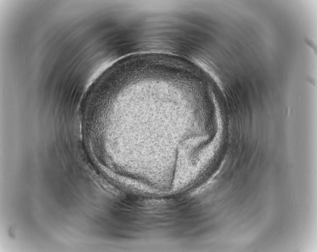 X0000098160925200805081100