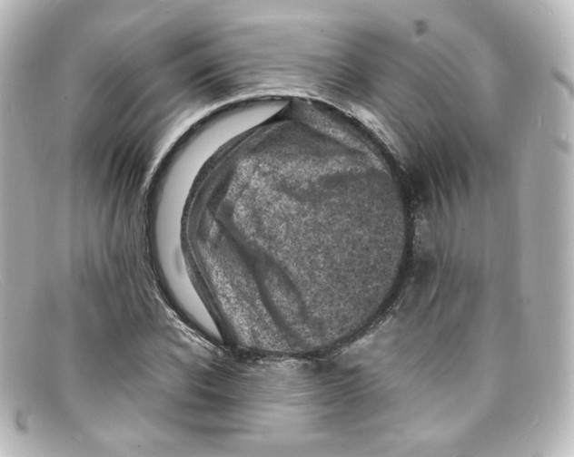 X0000098160926200805081100