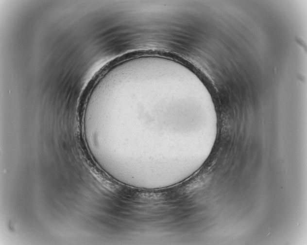 X0000098160927200805081100