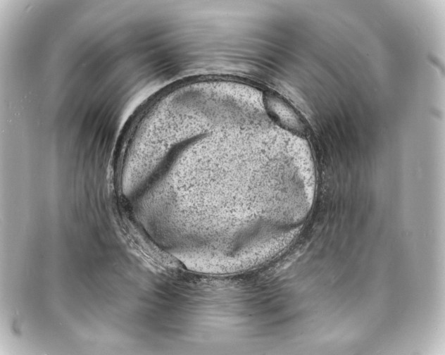 X0000098160928200805081100