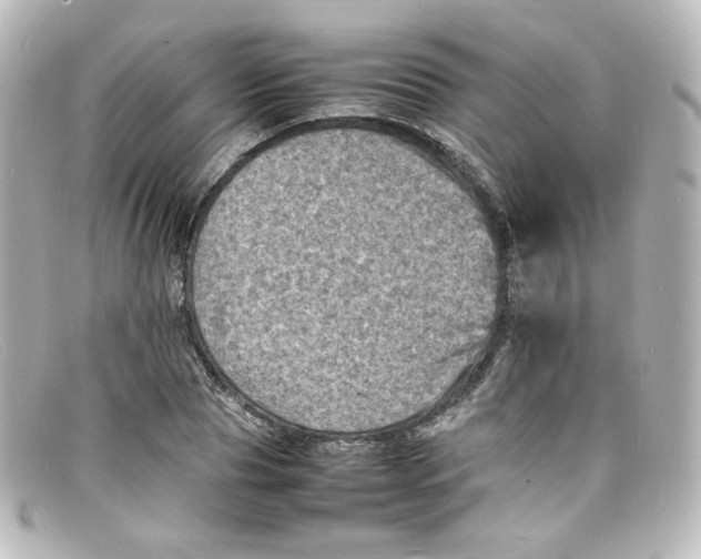 X0000098160929200805081100