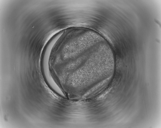 X0000098160932200805081100