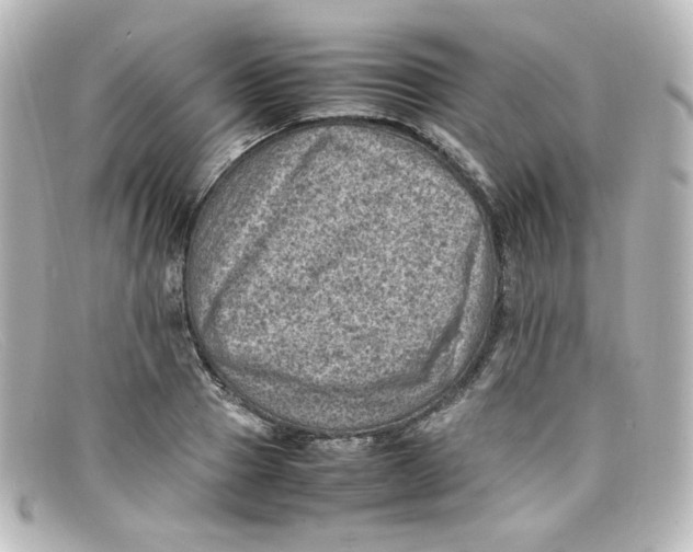 X0000098160937200805081100