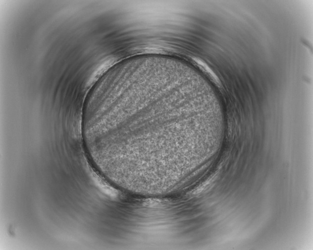 X0000098160938200805081100