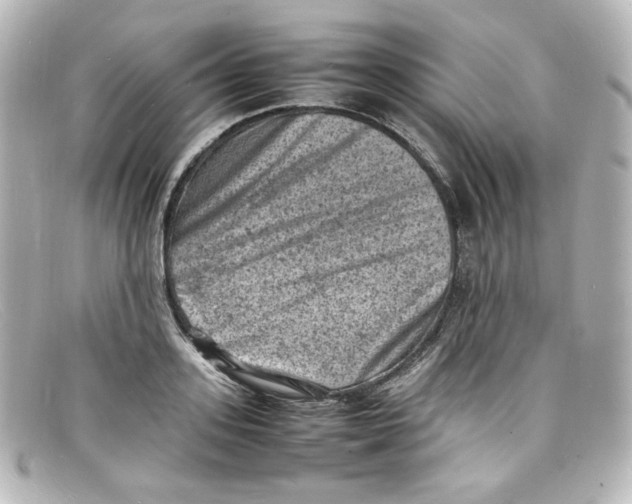 X0000098160939200805081100