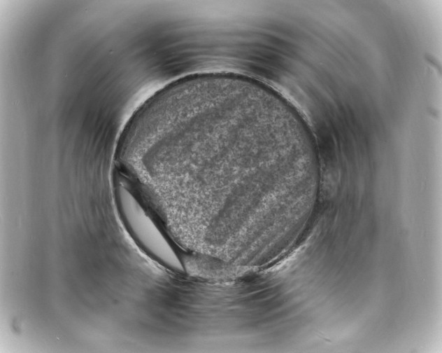 X0000098160943200805081101