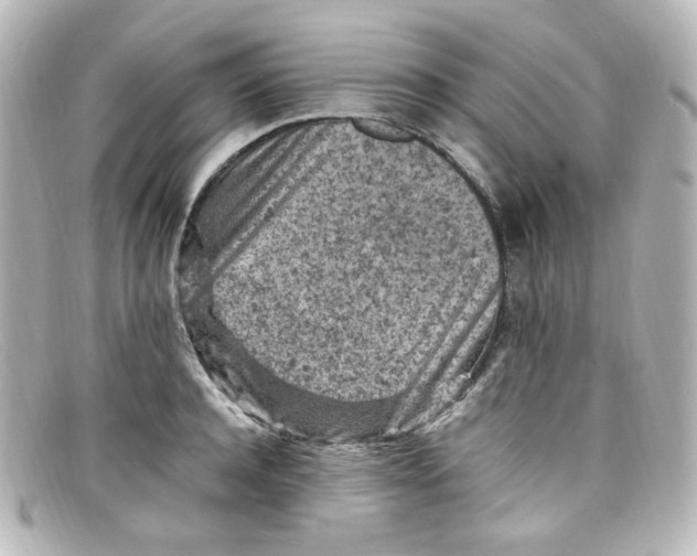 X0000098160944200805081101