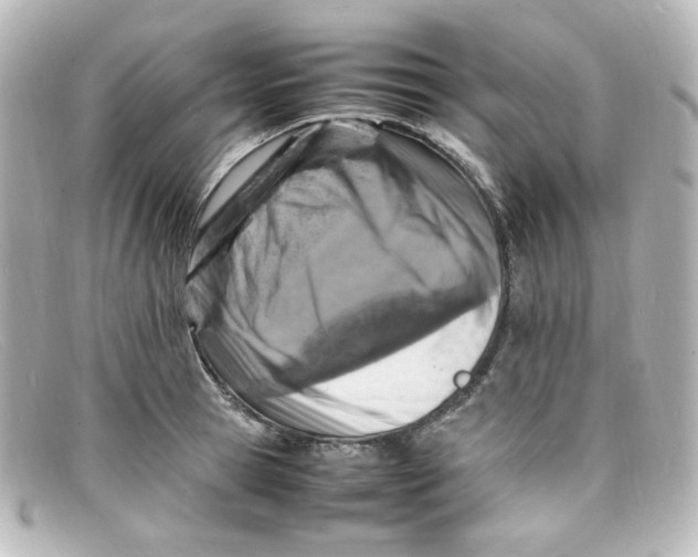 X0000098160945200805081101