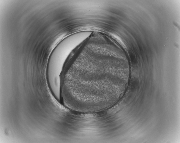 X0000098160946200805081101