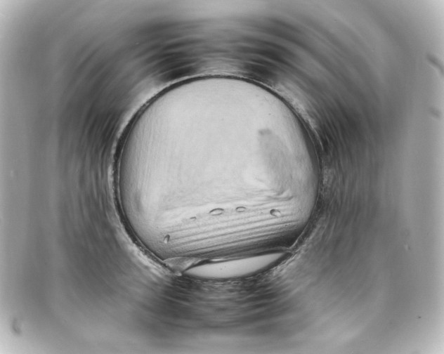 X0000098160947200805081101