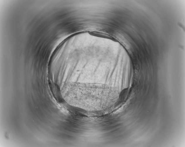 X0000098160948200805081101