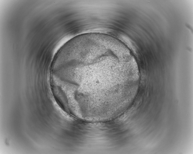 X0000098160952200805081101