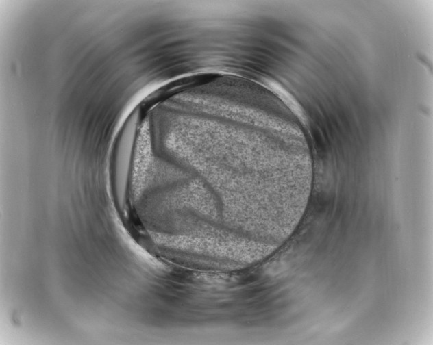 X0000098160955200805081101