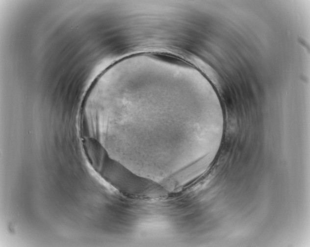 X0000098160958200805081101