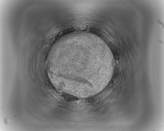 X0000098160961200805081100