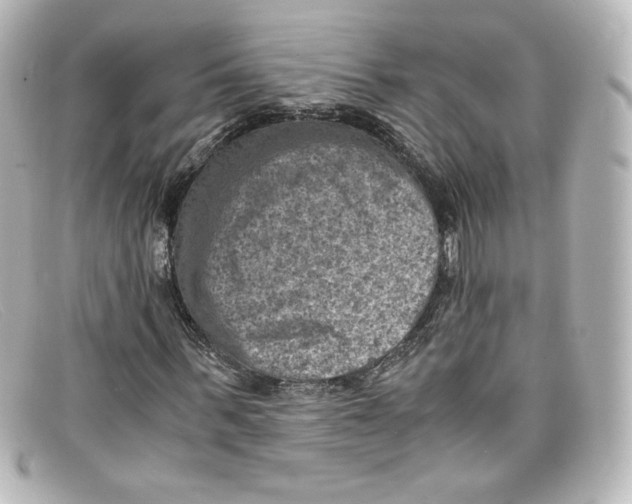 X0000098160963200805081100