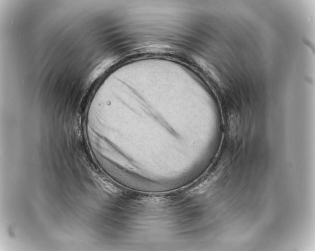 X0000098160970200805081100