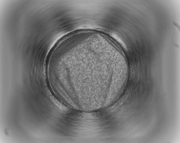 X0000098160976200805081100