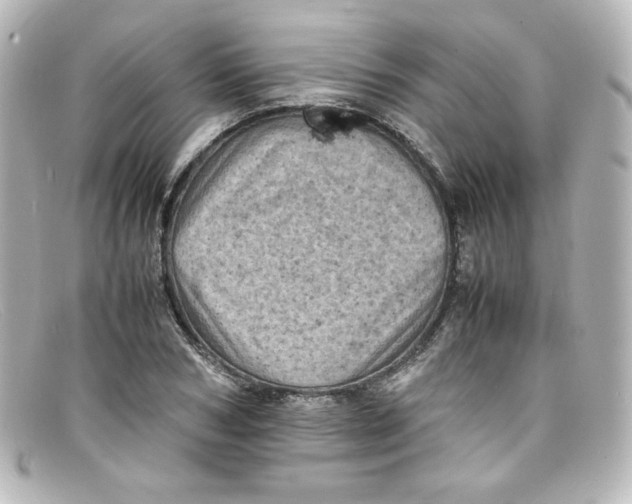 X0000098160978200805081100