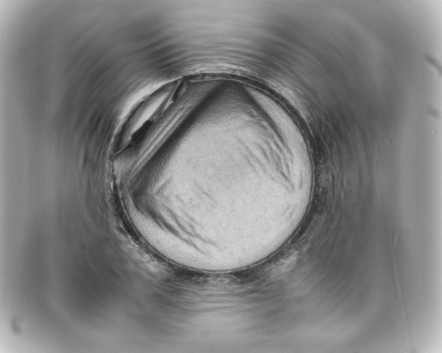 X0000098160979200805081100
