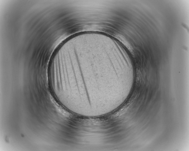 X0000098160980200805081100