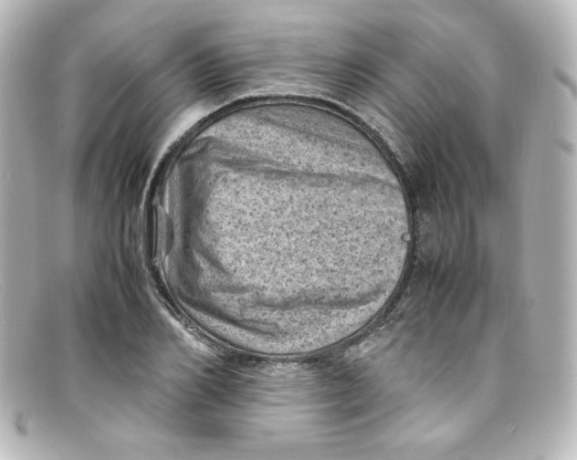 X0000098160982200805081100