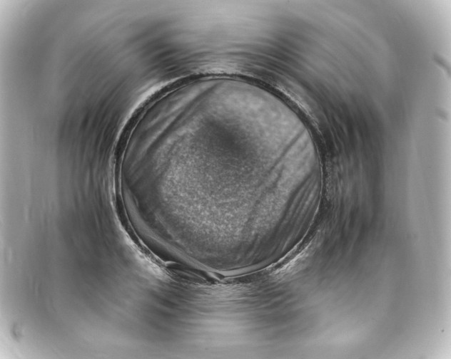 X0000098160984200805081100