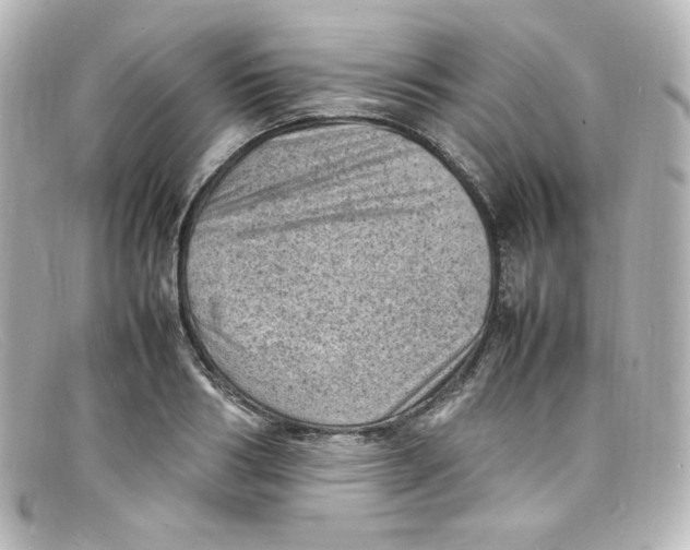 X0000098160986200805081100