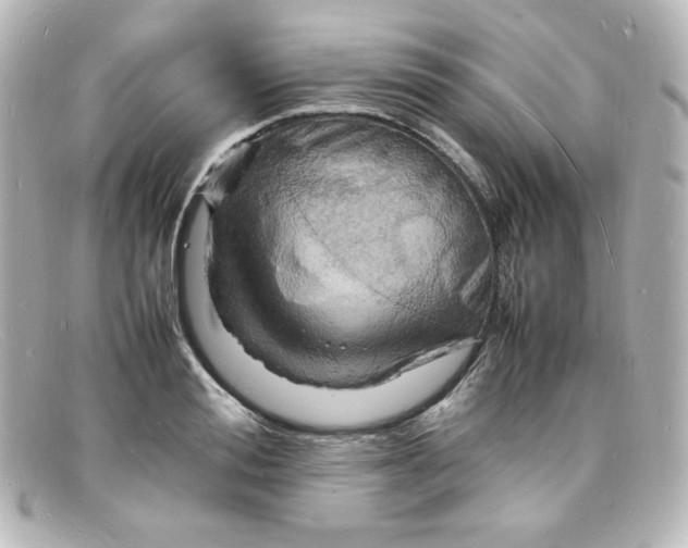 X0000098160988200805081100