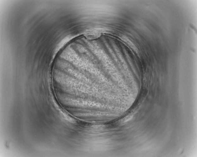 X0000098160989200805081100