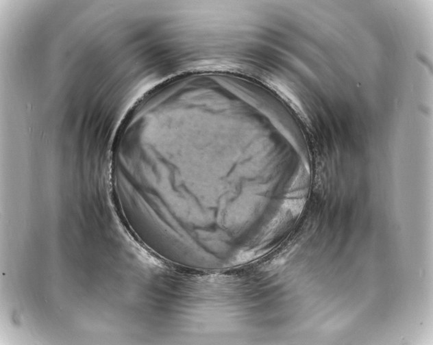 X0000098160992200805081100